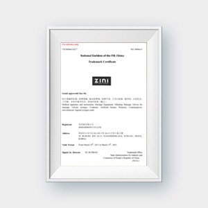 Регистрация торговой марки ZINI